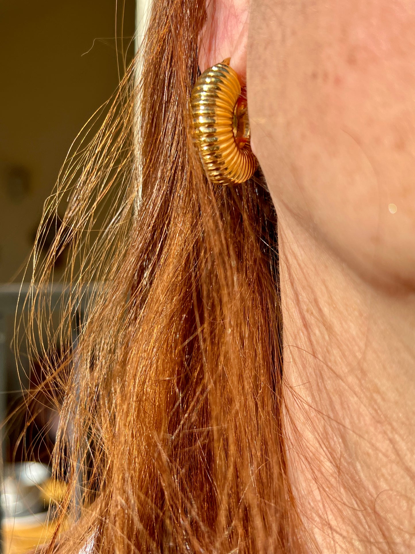 Ammonite Earrings