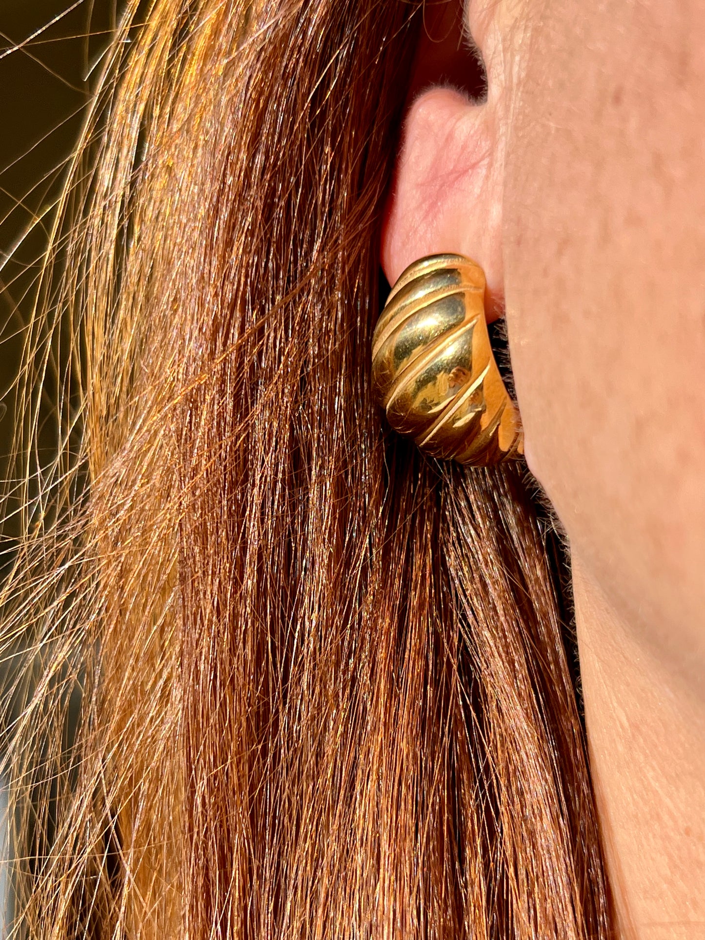 Darcy Shell Earrings