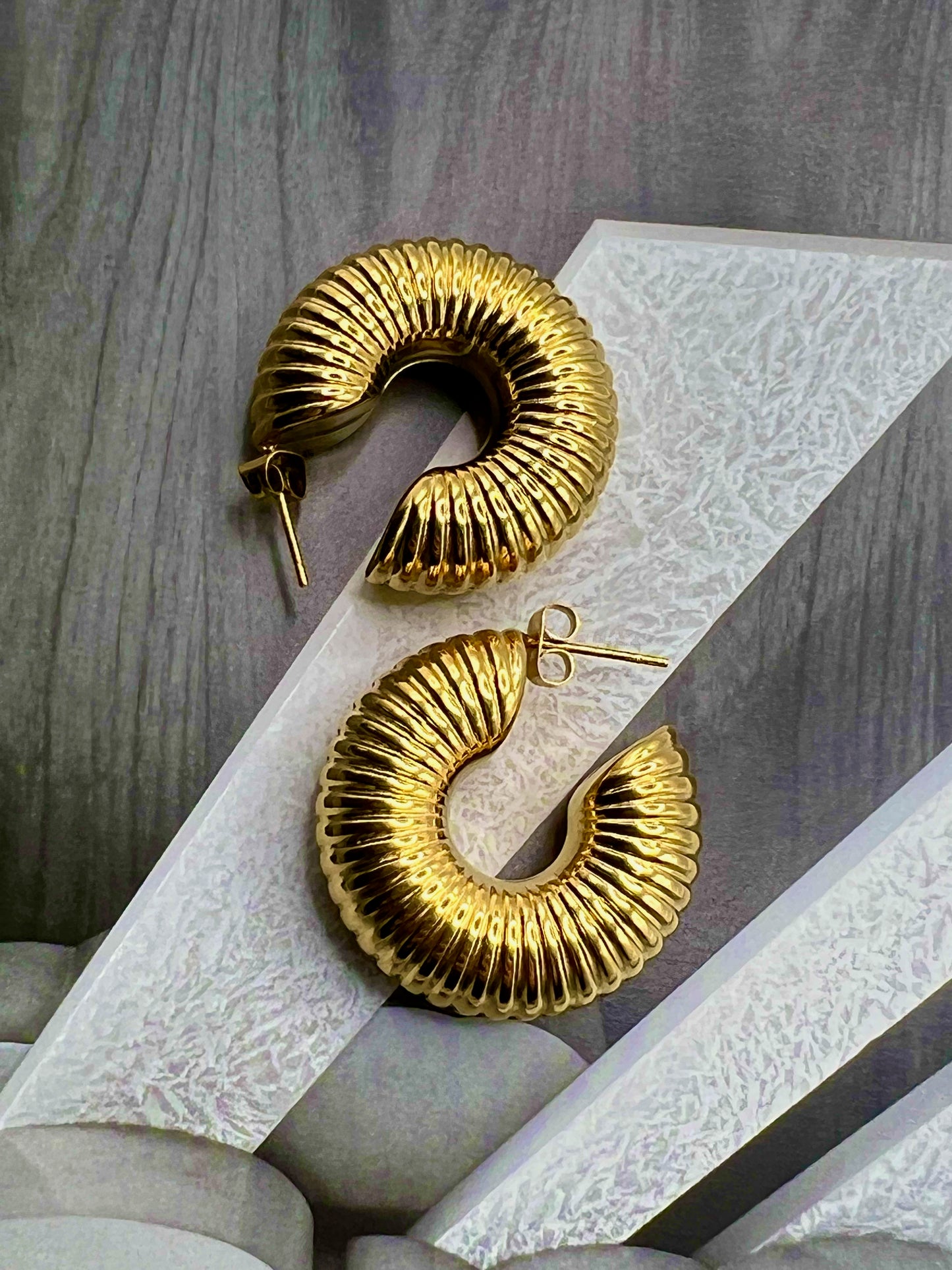 Ammonite Earrings